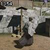13時50分 ごろ