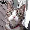 13時55分 ごろ