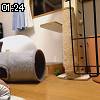 01時20分 ごろ