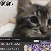 14時30分 ごろ