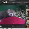 10時40分 ごろ