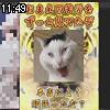 11時45分 ごろ
