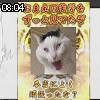 08時00分 ごろ