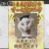 09時15分 ごろ