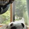 12時30分 ごろ