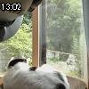 13時00分 ごろ