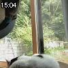 15時00分 ごろ