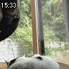 15時30分 ごろ