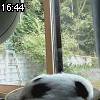 16時40分 ごろ