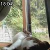18時00分 ごろ
