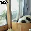 15時00分 ごろ