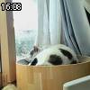 16時05分 ごろ