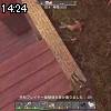 14時20分 ごろ