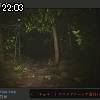 22時00分 ごろ