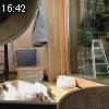 16時40分 ごろ