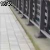 16時45分 ごろ