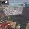 15時00分 ごろ
