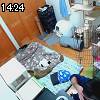 14時20分 ごろ