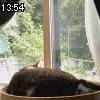13時50分 ごろ