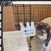 07時30分 ごろ