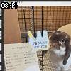 08時40分 ごろ