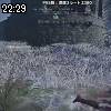 22時25分 ごろ