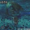 16時55分 ごろ