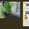 17時20分 ごろ