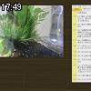 17時45分 ごろ