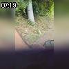 07時15分 ごろ