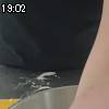 19時00分 ごろ