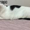 13時15分 ごろ