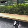 08時00分 ごろ