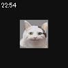 22時50分 ごろ