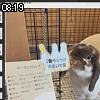 08時15分 ごろ