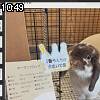 10時45分 ごろ