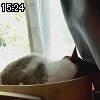15時20分 ごろ