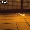 11時45分 ごろ