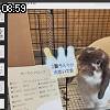 08時55分 ごろ