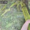 11時05分 ごろ