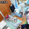 07時50分 ごろ