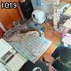 10時15分 ごろ