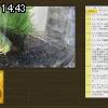 14時40分 ごろ