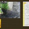 15時05分 ごろ